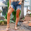 Carnival Nights Mid Rise Distressed Shorts