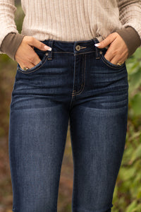 Plus Size Audrey High Rise Skinny